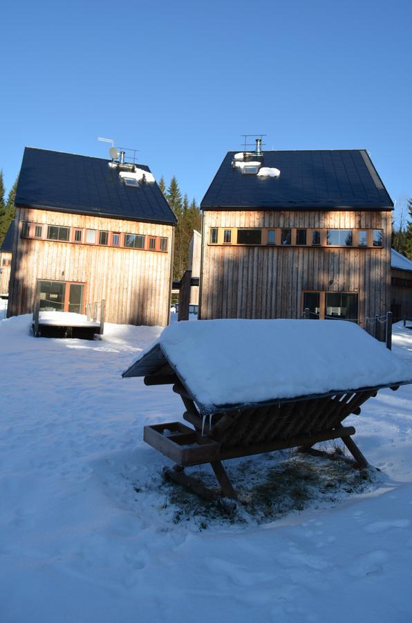 Chalet Harrachov Exterior photo